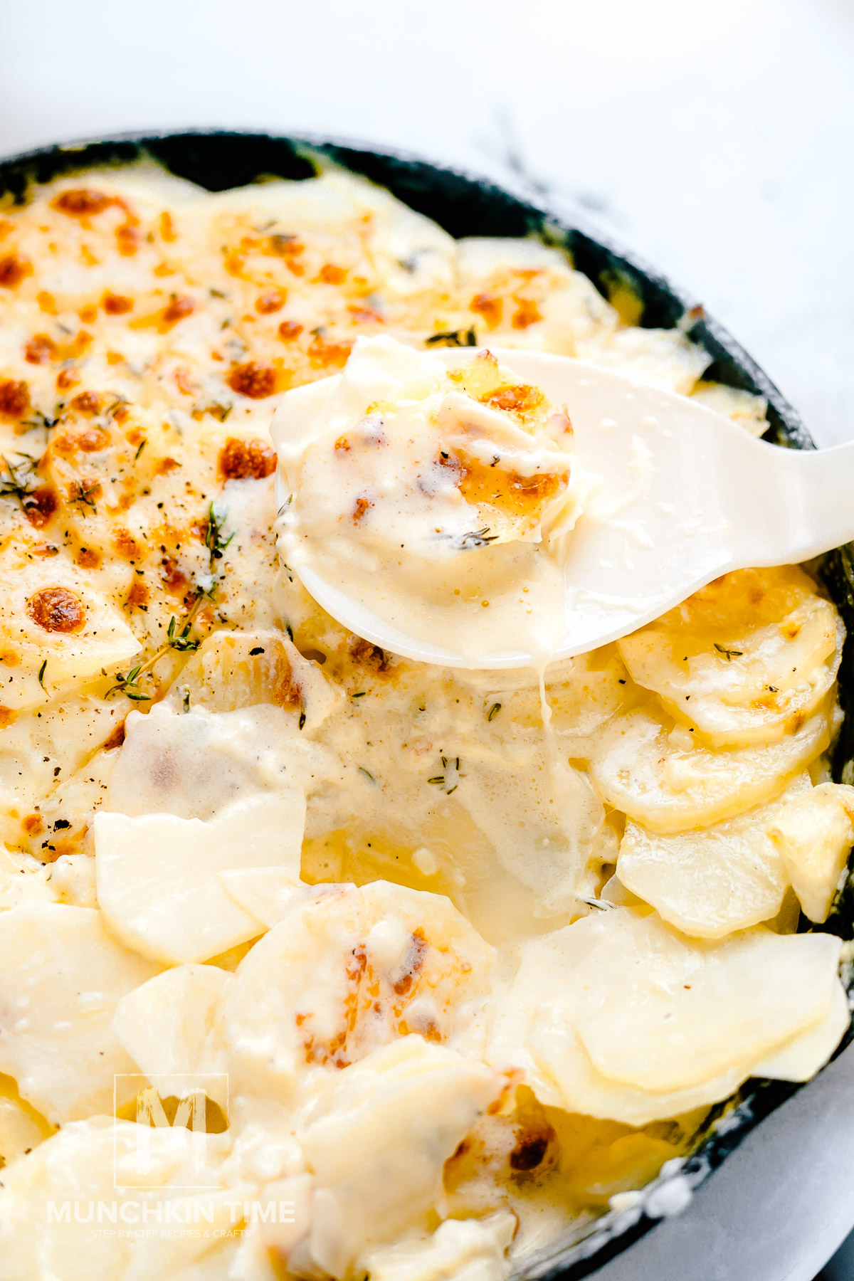 scalloped potatoes